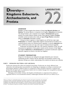 Diversity— Kingdoms Eubacteria, Archaebacteria, and Protista