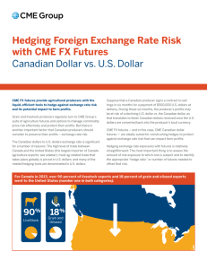 Hedging Foreign Exchange Rate Risk with CME FX