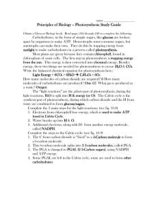 Photosynthesis Study Guide Photosynthesis Study Guide