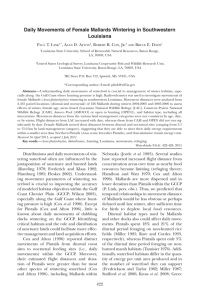 Daily Movements of Female Mallards Wintering in Southwestern