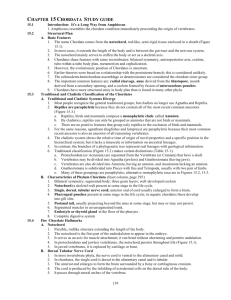CHAPTER 15 CHORDATA STUDY GUIDE