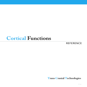 cortical functions PDF