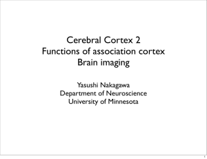 Cerebral Cortex 2 Functions of association cortex