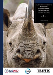 Illegal trade in ivory and rhino horn: an assessment to