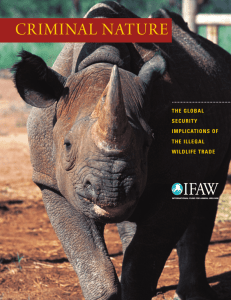 Criminal Nature - International Fund for Animal Welfare