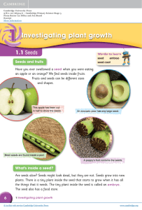 1 Investigating plant growth - beck