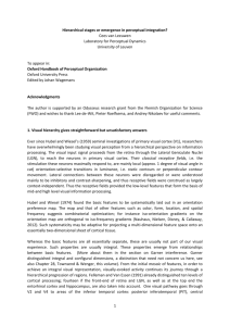 Hierarchical stages or emergence in perceptual