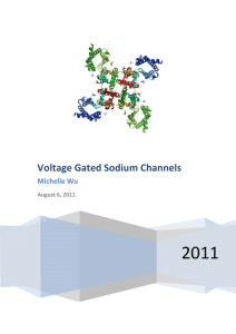 Voltage Gated Sodium Channels