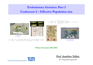 Lecture 3: Effective population size, mutations, heterozygosity