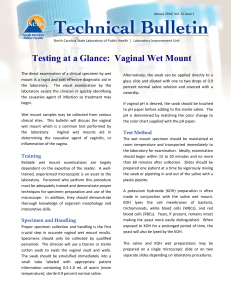 Testing at a Glance: Vaginal Wet Mount