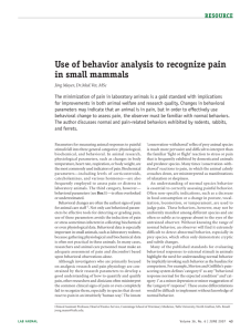 Use of behavior analysis to recognize pain in small mammals