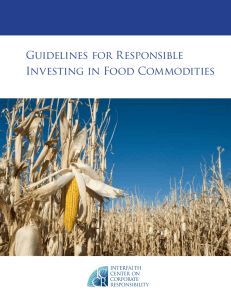 Guidelines for Responsible Investing in Food Commodities