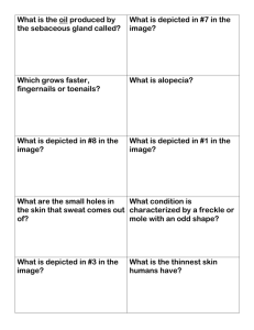 Integumentary Quiz Review Sheet