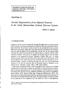 Axonal Regeneration from Injured Neurons in the Adult Mammalian