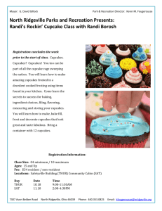 Randi's Rockin' Cupcake Class with Randi Borosh