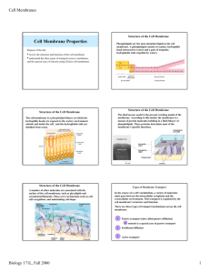 plasma membrane2