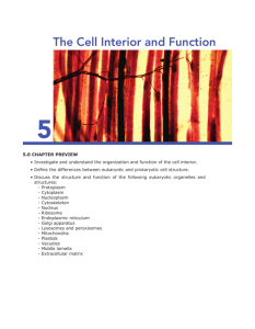 The Cell Interior and Function