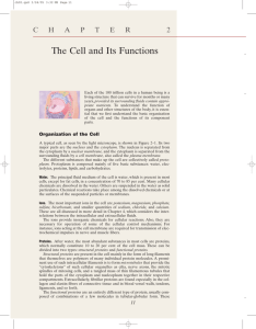 The Cell and Its Functions