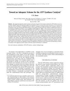 Toward an Adequate Scheme for the ATP Synthase Catalysis1