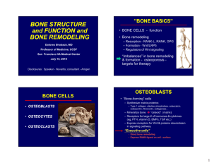 BONE STRUCTURE And FUNCTION And BONE REMODELING