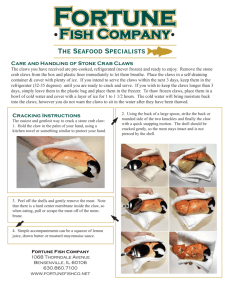 fortune cracking stone crab sheet NEW.ai