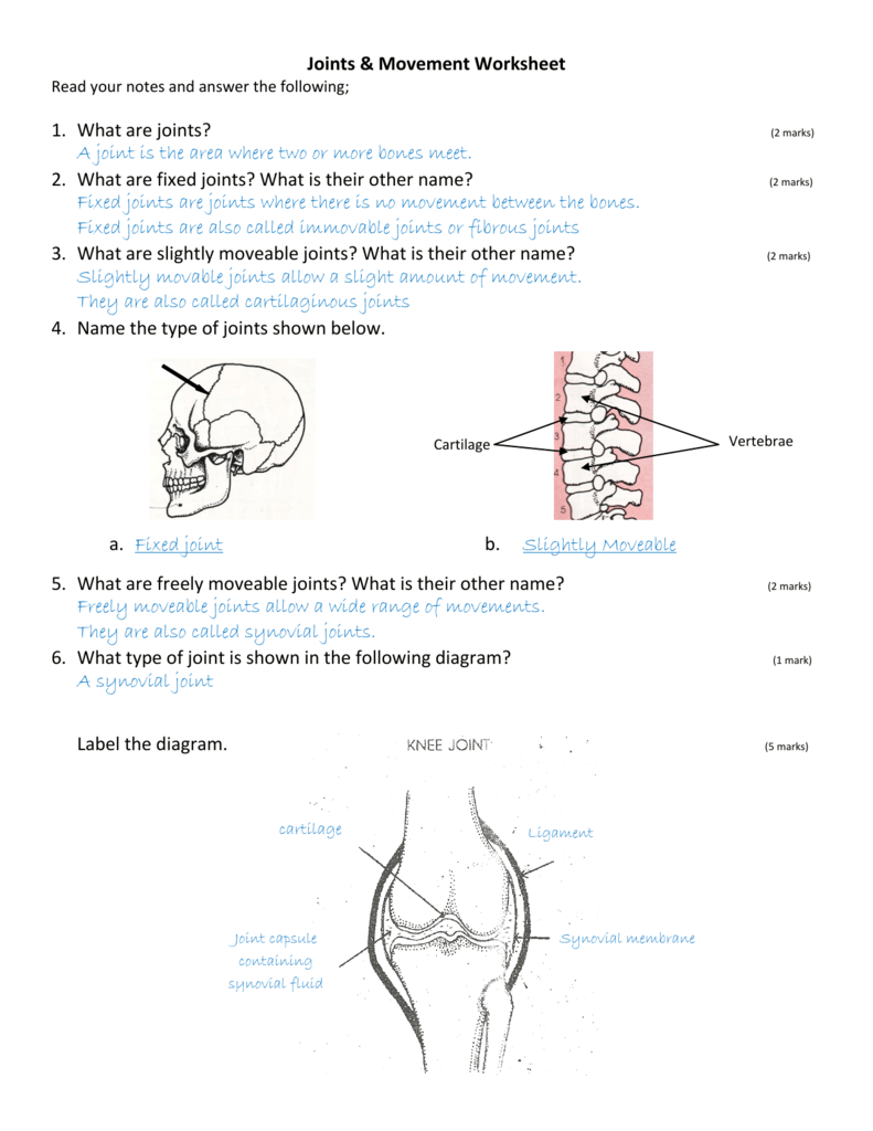 Joint Movements Chart