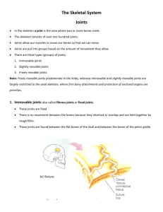 The Skeletal System Joints