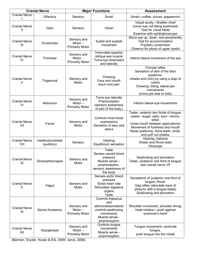 Cranial Nerves Function Chart