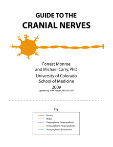 Cranial Nerves Cover - School of Medicine Wiki