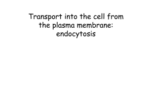 Transport into the cell from the plasma membrane: endocytosis