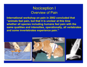 Overview of Pain