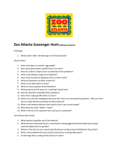Zoo Atlanta Scavenger Hunt(without answers)