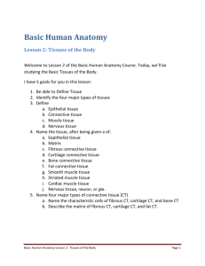 Basic Human Anatomy Lesson 2: Tissues of the Body