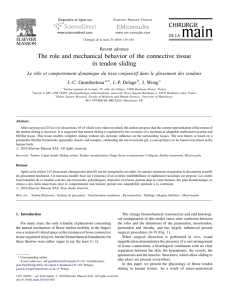 6.1.3 The role and mechanical behavior of the connective tissue in