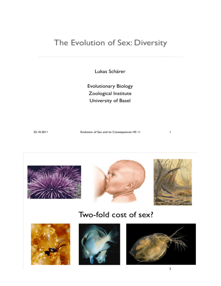 The Evolution Of Sex Diversity Evolutionary Biology At The 7195