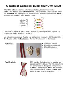 A Taste of Genetics: Build Your Own DNA!