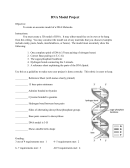 DNA Project Rubric