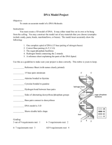 DNA Model Project