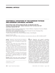 Anatomical variations of the superior thyroid and superior laryngeal