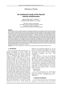 An anatomical study of the thyroid arteries anastomoses