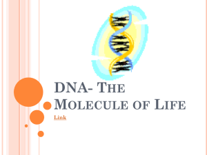 DNA- The Molecule of Life