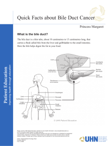 Quick Facts about Bile Duct Cancer