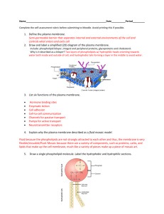 1. Define the plasma membrane. Semi