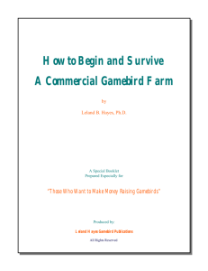 How to Begin and Survive A Commercial Gamebird Farm