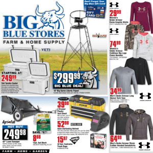 HOT BUY! - big blue stores