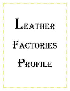 LEATHER INDUSTRY FACTORY PROFILES pdf