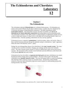 The Echinoderms and Chordates Laboratory