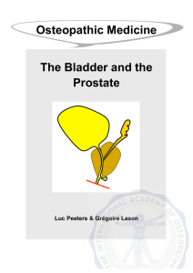 Osteopathic Medicine The Bladder and the Prostate - E