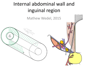 Internal abdominal wall slideshow – MJW 2015