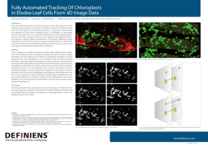 Fully Automated Tracking Of Chloroplasts In Elodea Leaf Cells From